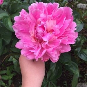 Meet your Posher, Mary